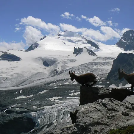 Apartamento Aelpi Retreat By Grund *